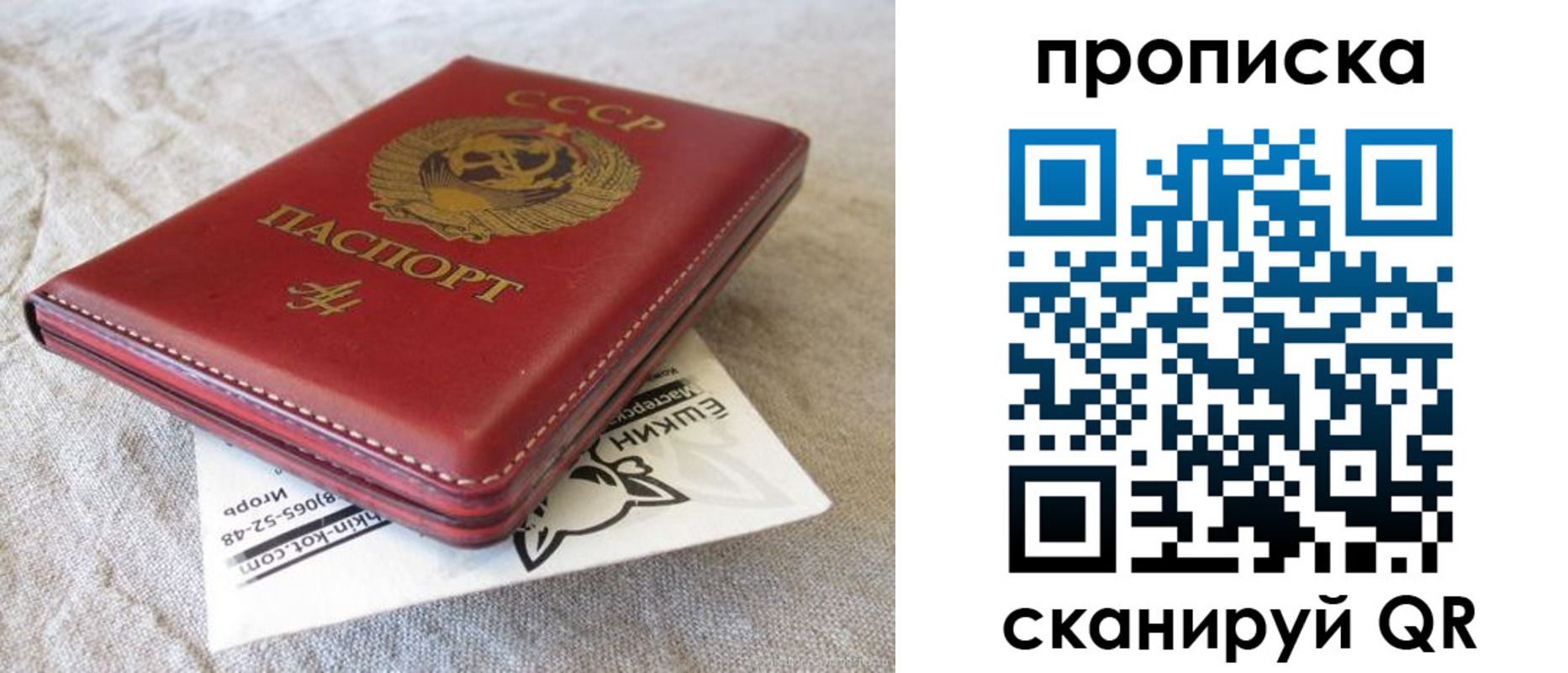 прописка для школы в Сольцах